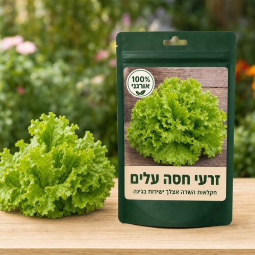 זרעי חסה עלים זרעי חסה עלים - Lettuce 🥬