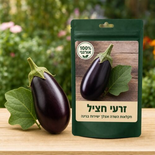 זרעי חציל זרעי חציל 🍆