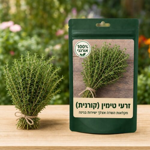 זרעי טימין (קורנית) זרעי טימין (קורנית) 🌿