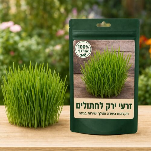 זרעי ירק לחתולים זרעי ירק לחתולים 🐱🌿