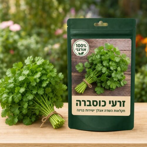 זרעי כוסברה זרעי כוסברה 🌿