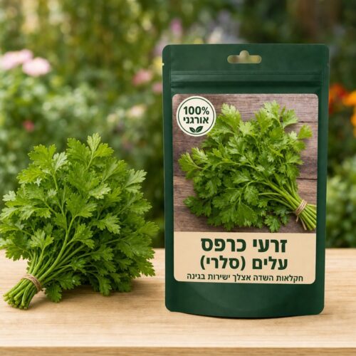 זרעי כרפס עלים (סלרי) זרעי כרפס עלים (סלרי) 🥬