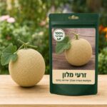 זרעי מלון זרעי מלון - Melon 🍈