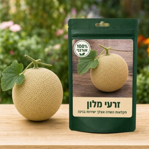זרעי מלון זרעי מלון - Melon 🍈