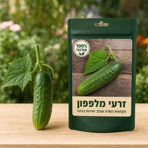 זרעי מלפפון זרעי מלפפון - Cucumber 🥒