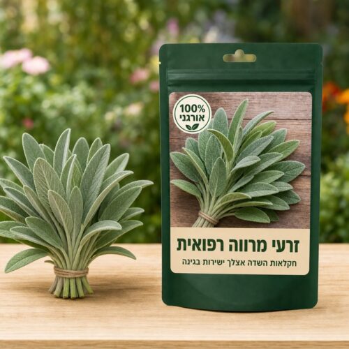 זרעי מרווה רפואית זרעי מרווה רפואית 🌿
