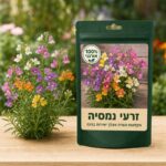 זרעי נמסיה זרעי נמסיה 🌸