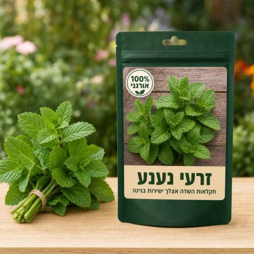 זרעי נענע זרעי נענע - Mentha 🌿