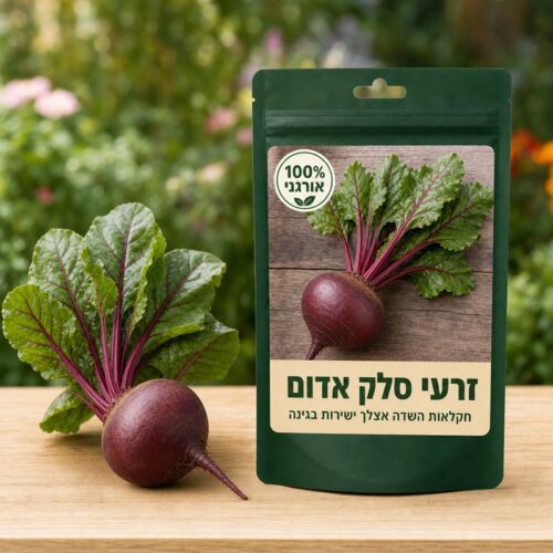 זרעי סלק אדום זרעי סלק אדום - Beta 🥬