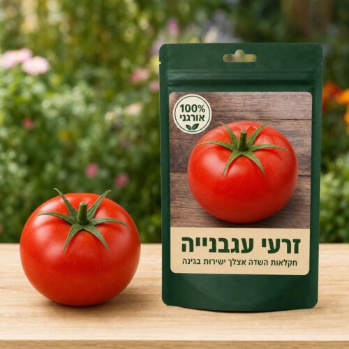 זרעי עגבנייה זרעי עגבנייה - Tomato 🍅
