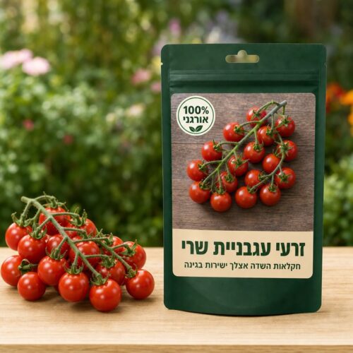 זרעי עגבניית שרי זרעי עגבניית שרי - Tomato cherry 🍅