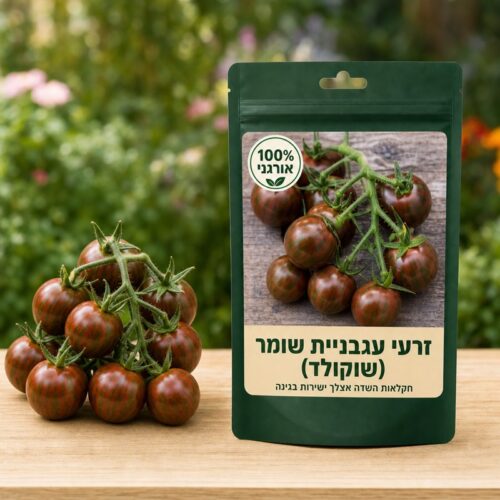 זרעי עגבניית שרי מנומר (שוקולד) זרעי עגבניית שרי מנומר (שוקולד) - Lycopene cherry tomato 🍅
