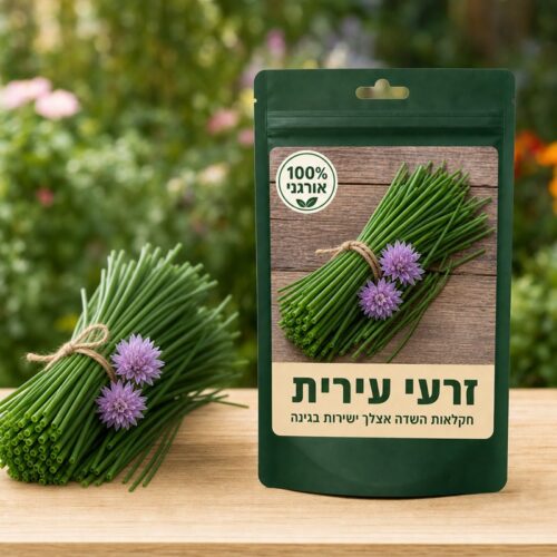 זרעי עירית זרעי עירית 🌿