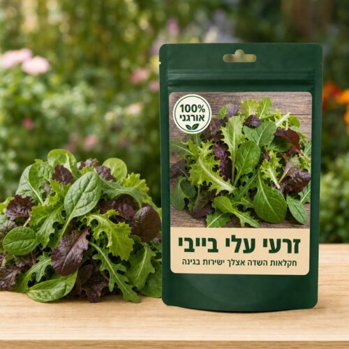זרעי עלי בייבי זרעי עלי בייבי 🥬
