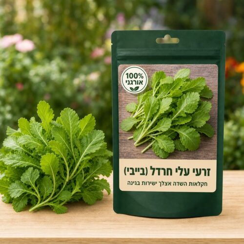 זרעי עלי חרדל (בייבי) זרעי עלי חרדל (בייבי) 🥬