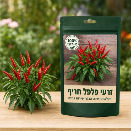 זרעי פלפל חריף זרעי פלפל חריף 🌶️