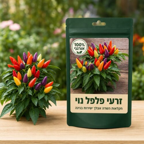 זרעי פלפל נוי זרעי פלפל נוי 🫑🌶️