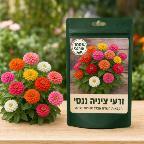 זרעי ציניה ננסי זרעי ציניה ננסי - Zinnia 🌺