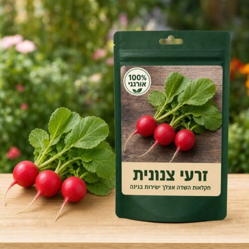 זרעי צנונית זרעי צנונית 🌱