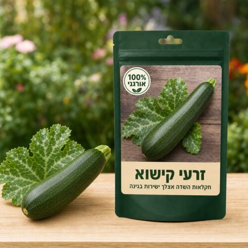 זרעי קישוא זרעי קישוא 🎃