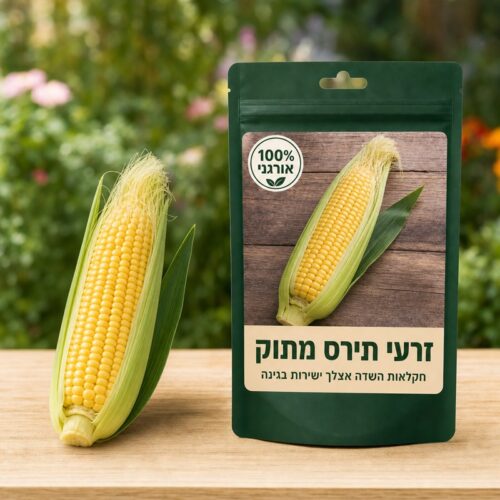 זרעי תירס מתוק זרעי תירס מתוק 🌽