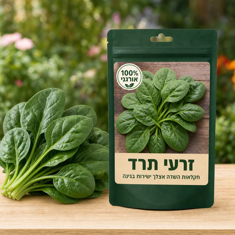 זרעי תרד זרעי תרד - Spinacia 🥬